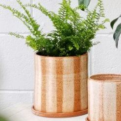 THE PLANT SOCIETY Fat Stripe Rust Planter By Arcadia Scott All Planters 12 THE PLANT SOCIETY Fat Stripe Rust Planter By Arcadia Scott All Planters