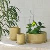 THE PLANT SOCIETY Wheat Fluted Planter By Arcadia Scott