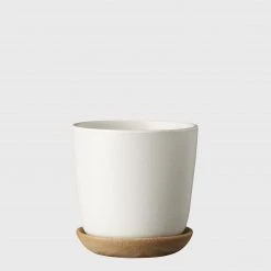 THE PLANT SOCIETY All Planters Bonnie Planter In White By Evergreen Collective