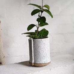 THE PLANT SOCIETY Speckled Cylinder Planter By Katherine Mahoney All Planters