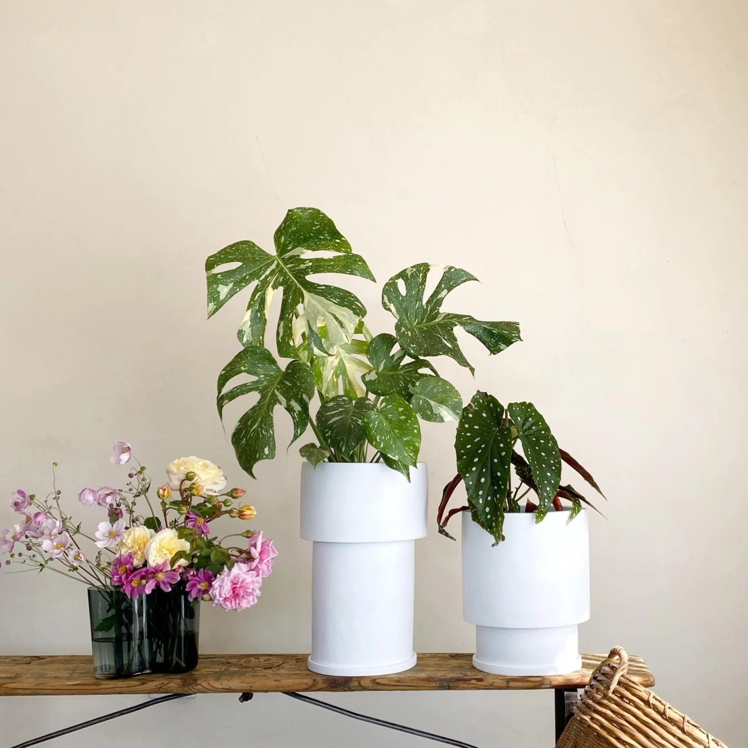 Totem Collection By The Plant Society Midi Low Tower Planter By The Plant Society X Capra Designs- Totem Collection - 7 Totem Collection By The Plant Society Midi Low Tower Planter By The Plant Society X Capra Designs- Totem Collection -