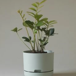 THE PLANT SOCIETY Self Watering Planter 215mm By Mr Kitly Small Planters
