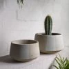 THE PLANT SOCIETY Wide White Planter By Penelope Duke All Planters