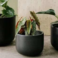 THE PLANT SOCIETY ONLINE OUTPOST Gardeners Planter - Charcoal Large Planters