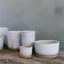 THE PLANT SOCIETY Misty Morning Planter By Leaf & Thread All Planters