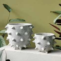 THE PLANT SOCIETY Extra Large Spike Planter By Buzzby & Fang