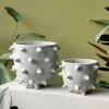 THE PLANT SOCIETY Spike Planter By Buzzby & Fang All Planters