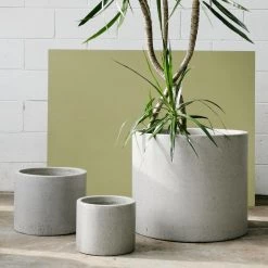 THE PLANT SOCIETY Large Planters Poolside Planter 12 THE PLANT SOCIETY Large Planters Poolside Planter