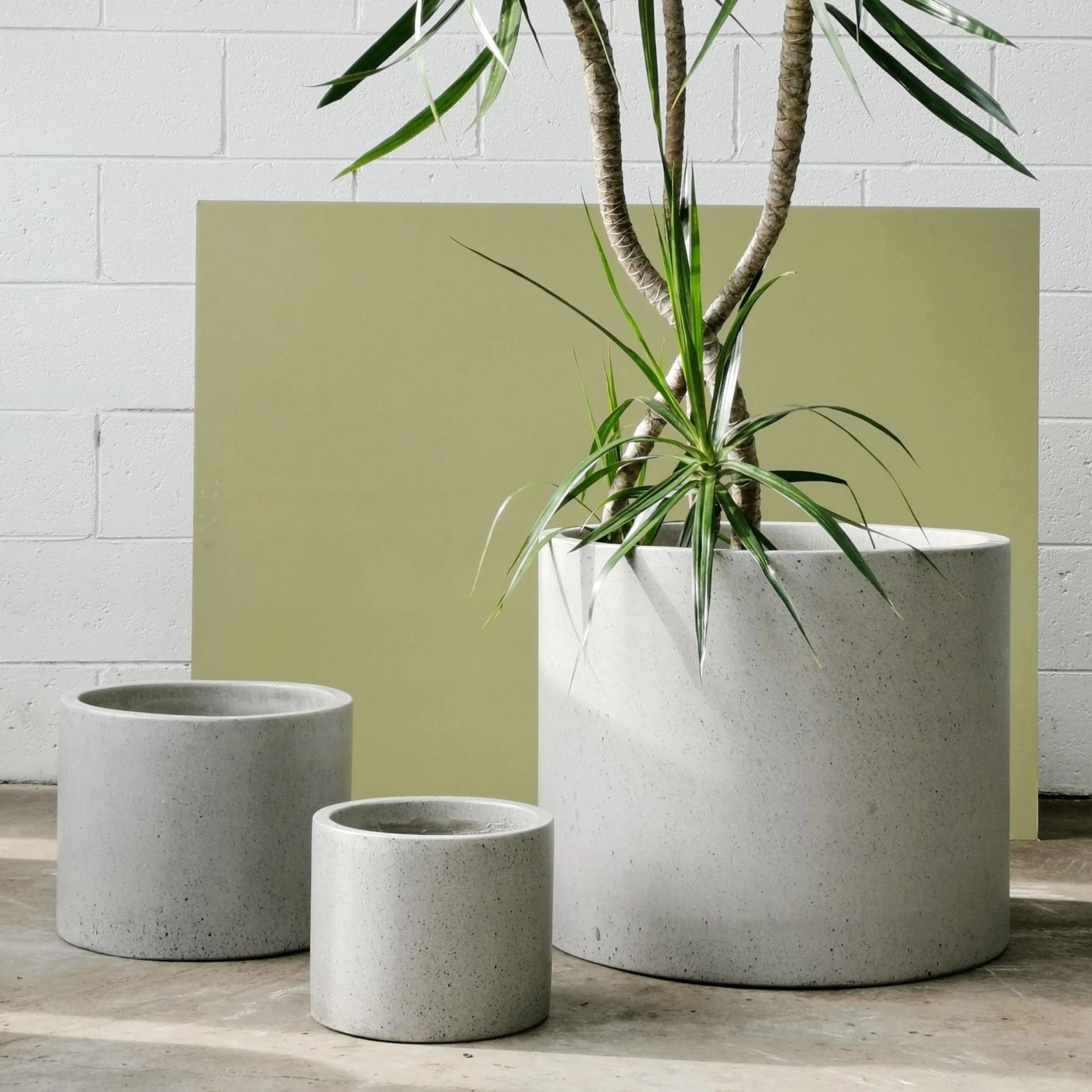 THE PLANT SOCIETY Large Planters Poolside Planter 7 THE PLANT SOCIETY Large Planters Poolside Planter