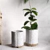 THE PLANT SOCIETY Speckled Cylinder Planter By Katherine Mahoney All Planters