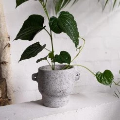 THE PLANT SOCIETY All Planters Niobium Planter By Buzzby & Fang