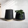 THE PLANT SOCIETY Tall Black Planter By Penelop Duke