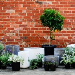 Large Planters Urban & Contemporary Collections By The Plant Society 19 Large Planters Urban & Contemporary Collections By The Plant Society