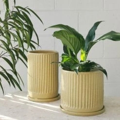 THE PLANT SOCIETY Wheat Fluted Planter By Arcadia Scott