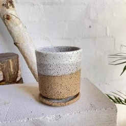 THE PLANT SOCIETY White Dipped Tall Planter By Lisa Peri All Planters