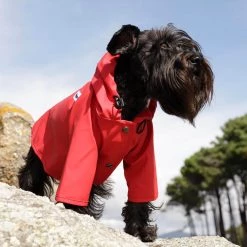 THE PLANT SOCIETY Sarah Dog Raincoat In Plain Adrenalin Red By The Painter's Wife