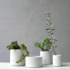 THE PLANT SOCIETY Zinc White Fluted Planter By Arcadia Scott
