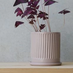 THE PLANT SOCIETY Lilac Fluted Planter By Arcadia Scott All Planters