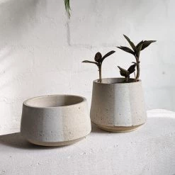 THE PLANT SOCIETY Mid White Planter By Penelope Duke All Planters