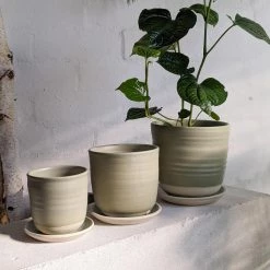 THE PLANT SOCIETY Straight Planter By Katherine Mahoney All Planters