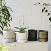 Cora Planter By The Plant Society In Quartz - Matt