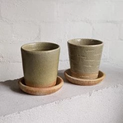 THE PLANT SOCIETY Stony Lime Planter By Sandra Bowkett All Planters 9 THE PLANT SOCIETY Stony Lime Planter By Sandra Bowkett All Planters