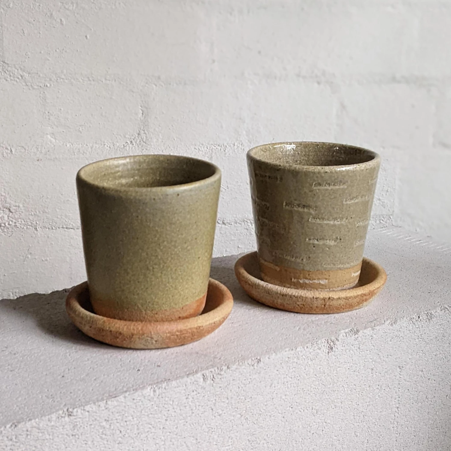 THE PLANT SOCIETY Stony Lime Planter By Sandra Bowkett All Planters 6 THE PLANT SOCIETY Stony Lime Planter By Sandra Bowkett All Planters