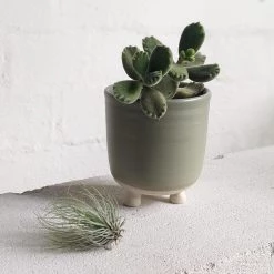 THE PLANT SOCIETY All Planters Straight Feet Planter By Katherine Mahoney