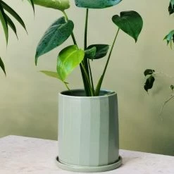 THE PLANT SOCIETY All Planters Sage Faceted Planter By Arcadia Scott