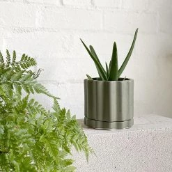 THE PLANT SOCIETY Blue Gum Tilde Planter By Ella Reweti All Planters