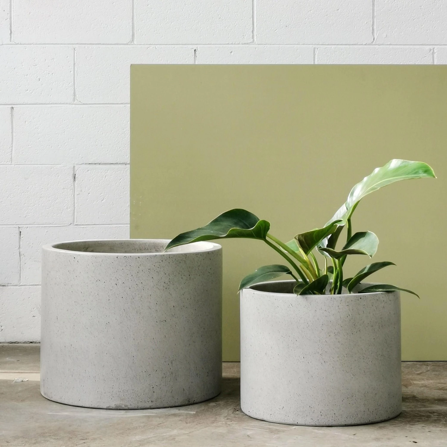 THE PLANT SOCIETY Large Planters Poolside Planter 6 THE PLANT SOCIETY Large Planters Poolside Planter