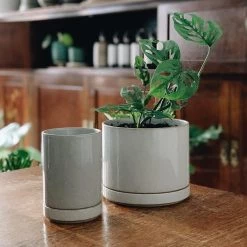 THE PLANT SOCIETY Hasami Porcelain Planter - Small Small Planters