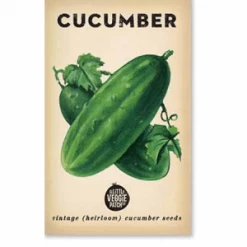 THE PLANT SOCIETY ONLINE OUTPOST Little Veggie Patch Seeds - Edible