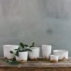 THE PLANT SOCIETY Glacier Planter By Leaf & Thread