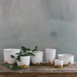 THE PLANT SOCIETY Glacier Planter By Leaf & Thread