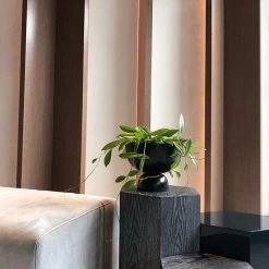 THE PLANT SOCIETY Large Goblet Planter By Lightly 15 THE PLANT SOCIETY Large Goblet Planter By Lightly