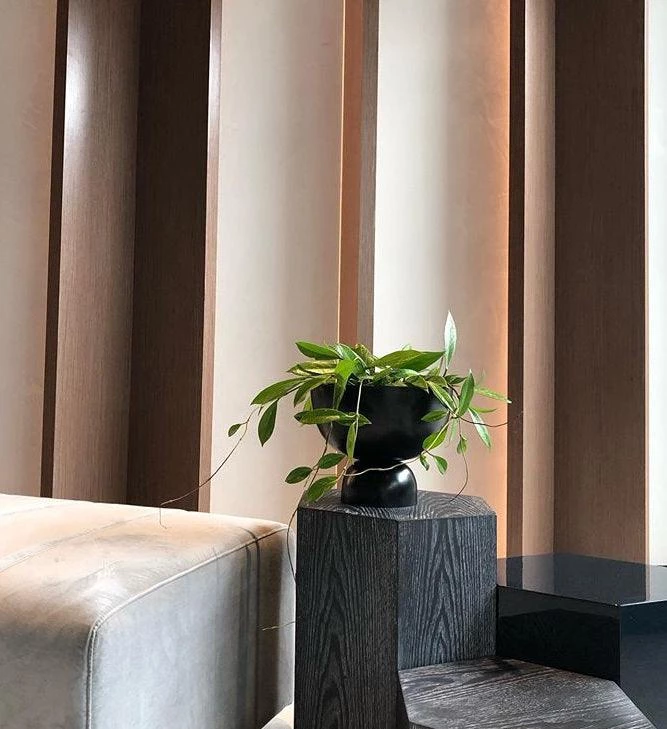 THE PLANT SOCIETY Large Goblet Planter By Lightly 6 THE PLANT SOCIETY Large Goblet Planter By Lightly