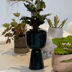 THE PLANT SOCIETY Small Planters Nappula Planter 26cm By Matti Klenell